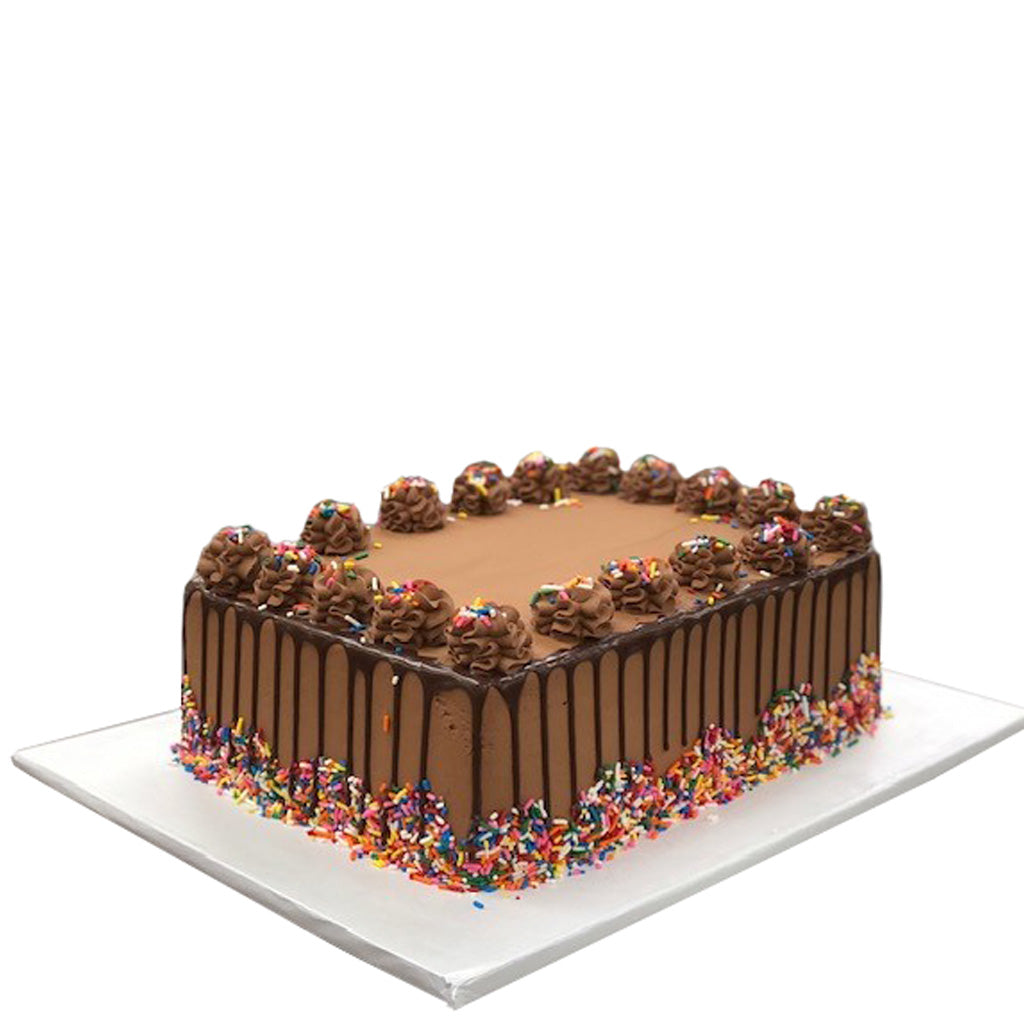 Jennifer's chocolate sheet cake with sprinkles and drip icing