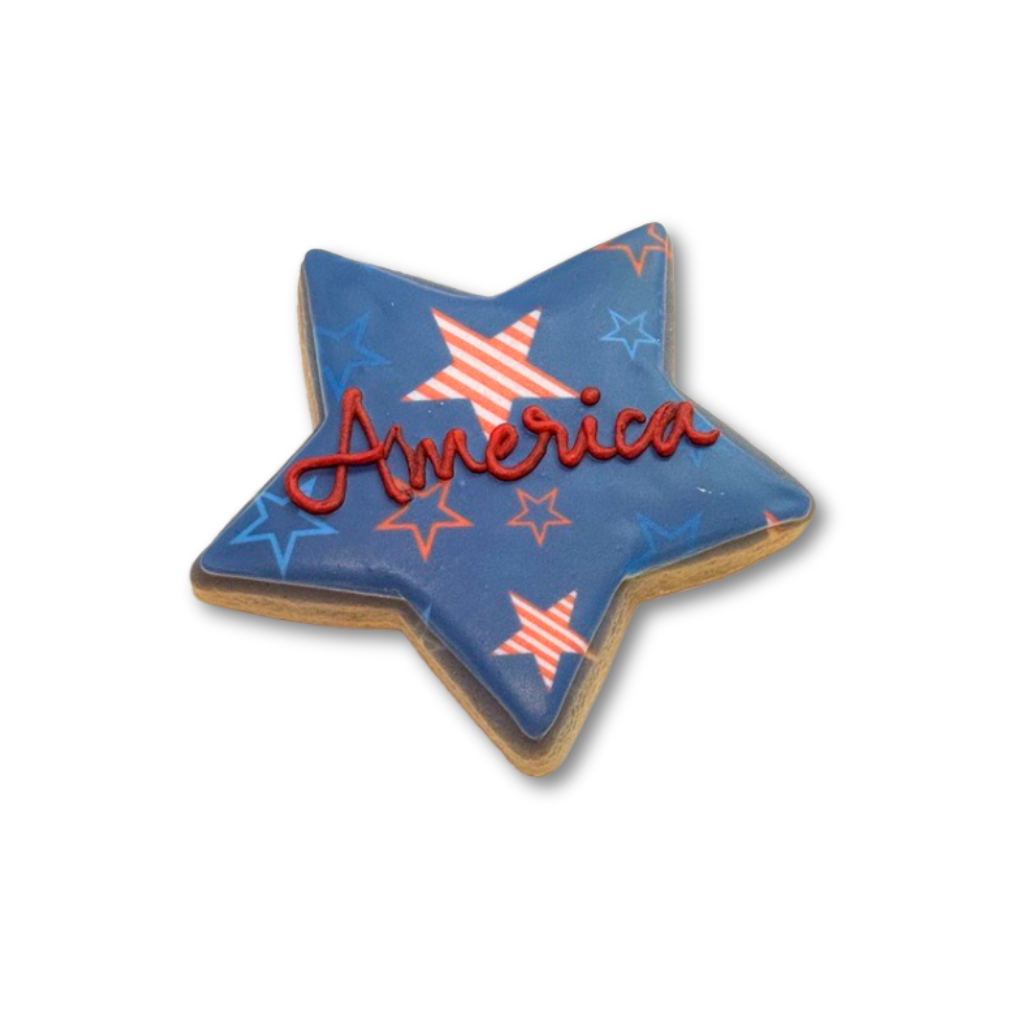 Star-shaped 4th of July cookie with America icing text.