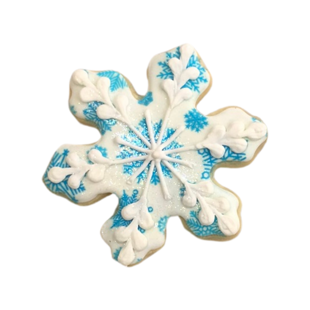 Hanukkah snowflake cookie with blue and white icing.