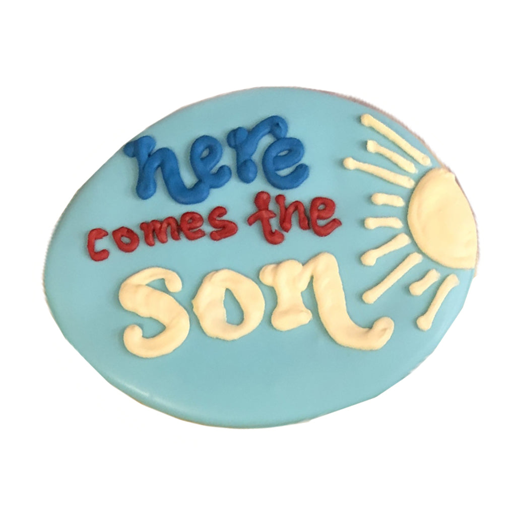 Here Comes the Son cookie with blue icing and sun design.